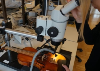 Страдіварі відбирав для своїх скрипок деревину з Альп – нове дослідження