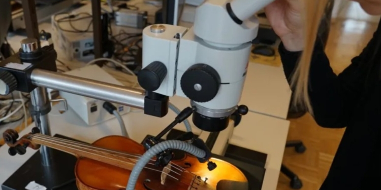 Страдіварі відбирав для своїх скрипок деревину з Альп – нове дослідження