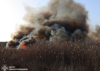 Чотири пасажирські автобуси та гектари очерету – що гасили протягом доби на Миколаївщині (ФОТО)