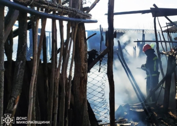 На Миколаївщині гасили 11 пожеж. Що горіло
