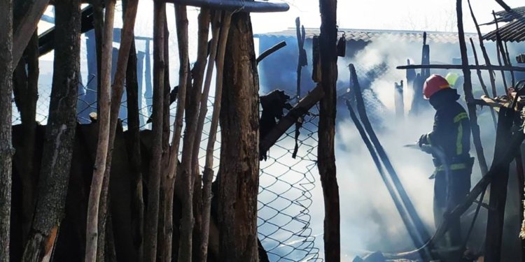 На Миколаївщині гасили 11 пожеж. Що горіло