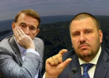 Землі на Київщині, пов’язані з Медведчуком та Клименком, повернуто державі