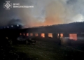 На Миколаївщині на світанку гасили пожежу свиноферми