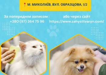 У Миколаєві відновлюється робота пункту чіпування, реєстрації та вакцинації тварин від «Центру захисту тварин»