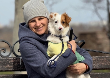 На виставці-прилаштуванні в Миколаєві вдалося знайти домівки для 10 собак (ФОТО)