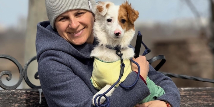 На виставці-прилаштуванні в Миколаєві вдалося знайти домівки для 10 собак (ФОТО)