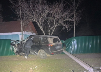 На Миколаївщині Opel врізався в електроопору – водій загинув