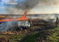 Горить земля на Миколаївщині – вигоріло 5,8 га