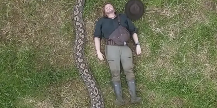 В Індонезії зафіксували найдовшу змію у світі – її довжина більше 7 метрів (ВІДЕО)