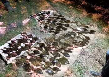 На Миколаївщині затримали браконьєра, який завдав збитків незаконним виловом глосиків на понад 234 тис.грн. (ФОТО)