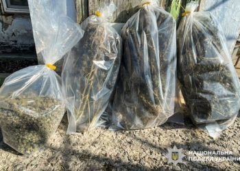 У Миколаєві затримали пару наркоторговців – у них вилучили 7 кг канабісу і не тільки (ФОТО)