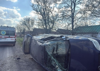 На Миколаївщині в ДТП загинув водій Opel – поліція шукає свідків (ФОТО)