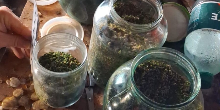 На Миколаївщині у чоловіка вилучили понад 1 кг канабісу (ФОТО)