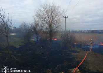 Більшість із 8 пожеж на Миколаївщині за добу спалахнули в екосистемах (ФОТО)