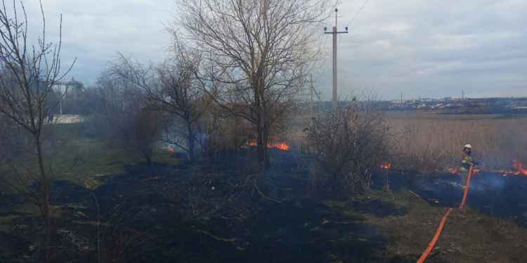 Більшість із 8 пожеж на Миколаївщині за добу спалахнули в екосистемах (ФОТО)