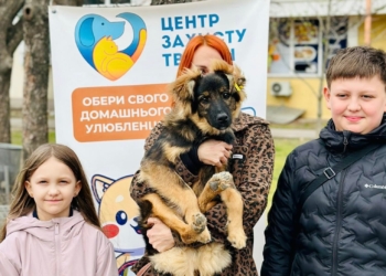 Ще 8 безхатніх тварин знайшли дім завдяки виставці-прилаштуванню в Миколаєві (ФОТО)