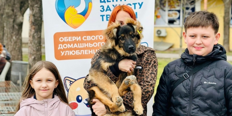 Ще 8 безхатніх тварин знайшли дім завдяки виставці-прилаштуванню в Миколаєві (ФОТО)