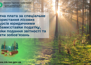 Рентна плата за спеціальне використання лісових ресурсів юридичними особами: ставки податку, строки подання звітності та сплати зобов’язань