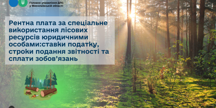 Рентна плата за спеціальне використання лісових ресурсів юридичними особами: ставки податку, строки подання звітності та сплати зобов’язань