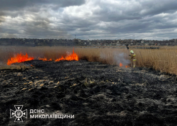 На Миколаївщині за добу вигорів 1 га відкритих територій (ФОТО)