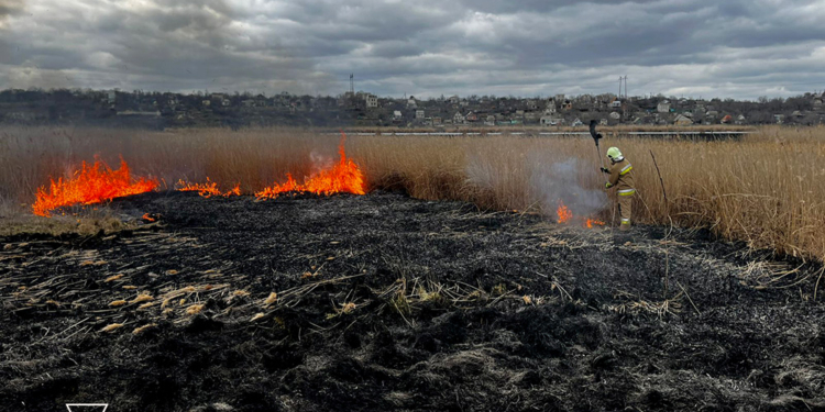 На Миколаївщині за добу вигорів 1 га відкритих територій (ФОТО)