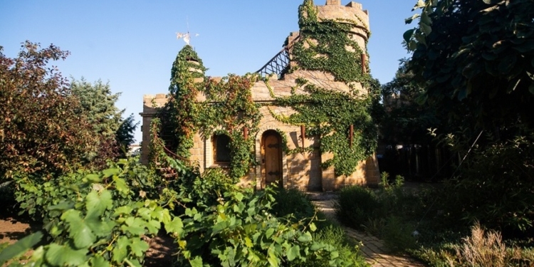 На Миколаївщині вирощують експериментальний виноградник з рідкісними сортами