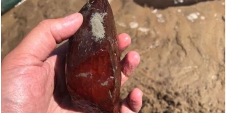 На Рівненщині злочинці під виглядом геологів незаконно видобували бурштин – накопали на 354 млн грн (ФОТО)