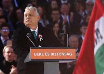 Тиск, гроші, наркотики, дрова – тільки своїм. Як партія Орбана намагається виграти вибори