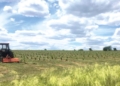 Під Миколаєвом на розмінованих полях на кошти Швеції створюють сучасні виноградники (ФОТО)