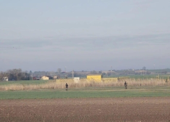 Яка несподіванка – друзі Путіна Вучич і Орбан шукають тих, хто заклав вибухівку на газогін між країнами