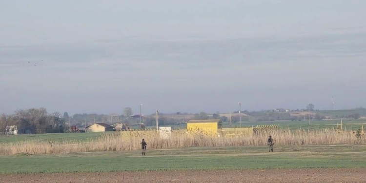 Яка несподіванка – друзі Путіна Вучич і Орбан шукають тих, хто заклав вибухівку на газогін між країнами