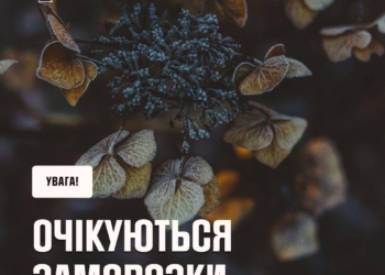 На найближчі дні Україні прогнозують штормовий вітер та заморозки