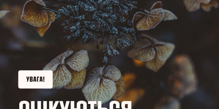 На найближчі дні Україні прогнозують штормовий вітер та заморозки