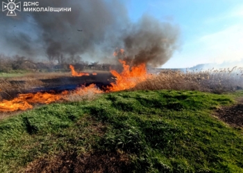 На Миколаївщині гасили 10 пожеж. Що горіло