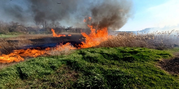 На Миколаївщині гасили 10 пожеж. Що горіло