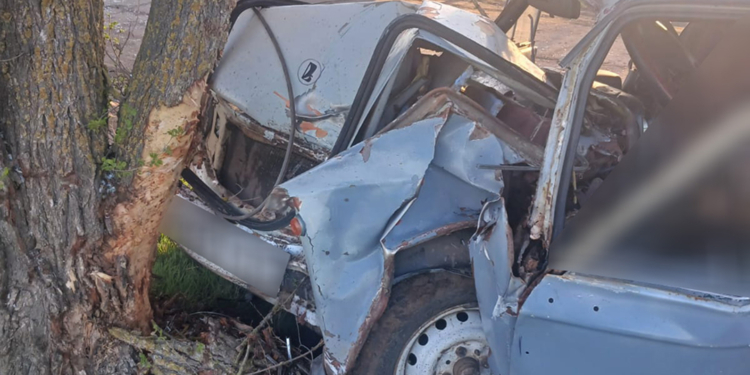 На Миколаївщині в ДТП загинув водій ВАЗівки (ФОТО)