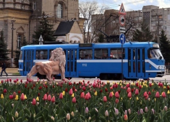 Як у Миколаєві працюватиме електротранспорт на Великдень  