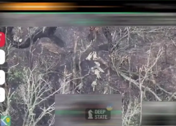 Росіяни вбили евакуаційну групу поранених військових ЗСУ та розстріляли чотирьох полонених, — DeepState (ВІДЕО)