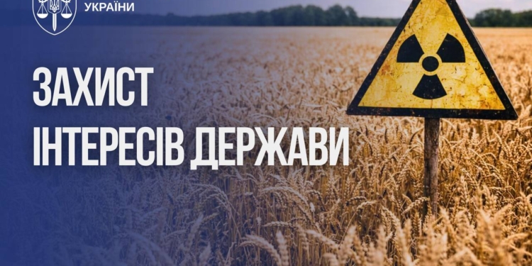 Більше 5 років у Чорнобильській зоні вирощували пшеницю і кукурудзу. Як вдалося оформити “законність” оборудки