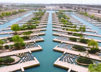 У Саудівській Аравії із каналізаційних стоків зробили чисту річку та рай для птахів