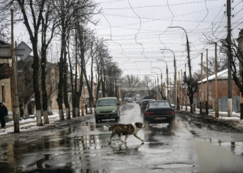 Україна нібито пропонувала назвати частину Донбасу “Доннілендом”, – стверджує The New York Times