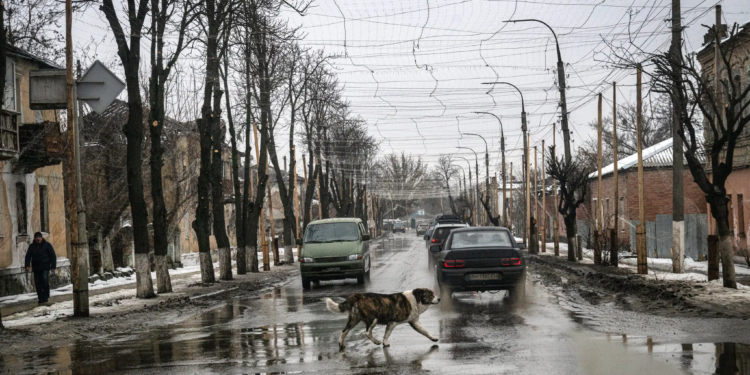 Україна нібито пропонувала назвати частину Донбасу “Доннілендом”, – стверджує The New York Times