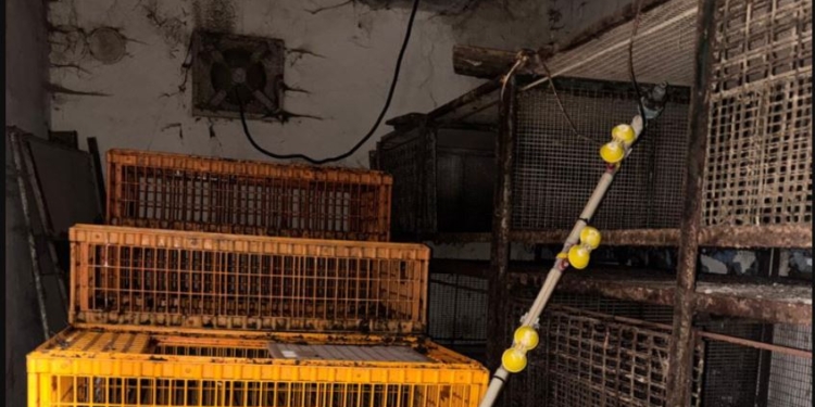 Страшна історія на Харківщині – зять вбив тещу і півтора року ховав тіло в сараї, але все одно попався