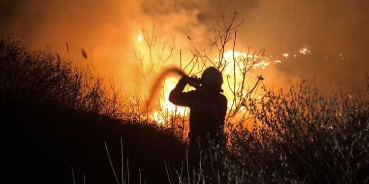 На Миколаївщині за добу гасили 6 пожеж. Що горіло