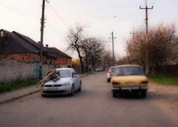 У Кропивницькому водій провіз на капоті працівника ТЦК (ВІДЕО)