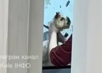 У Києві грумерка знущалася і ледь не задушила собаку, поліція перевіряє обставини (ВІДЕО)