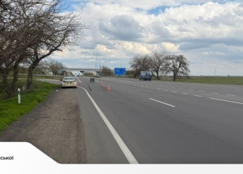 Збив пішохода та залишив місце ДТП – на Миколаївщині викрили причетного до скоєння злочину водія (ФОТО)