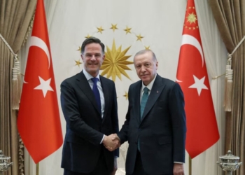 Туреччина намагається повернути Україну та росію до переговорів щодо завершення війни – Ердоган