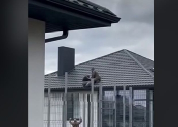 ТЦК виходить на новий рівень – на Волині скинули чоловіка з даху (ВІДЕО) (ОНОВЛЕНО)