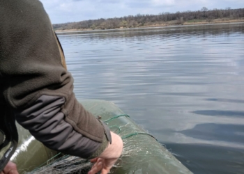 На Миколаївщині в РЛП «Приінгульський» вилучили 200 метрів браконьєрських сіток (ФОТО)